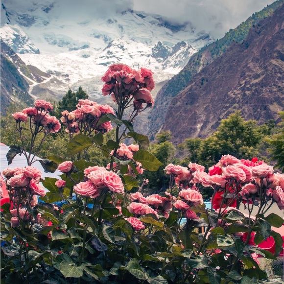 Meet your Posher, Mary - Picture 1 of 1